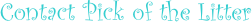 shapeimage_2